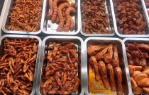 學(xué)鹵菜涼菜，來廚仟藝，零加盟費，技術(shù)為本！