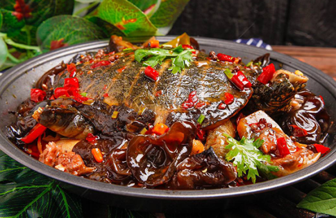 麻辣甲魚(yú)